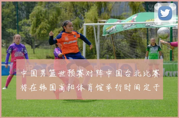 中国男篮世预赛对阵中国台北比赛将在韩国高阳体育馆举行时间定于7月6日